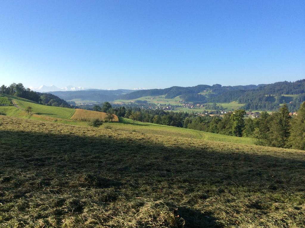 Landcafe Mit Mini Hotel Burgdorf Bagian luar foto